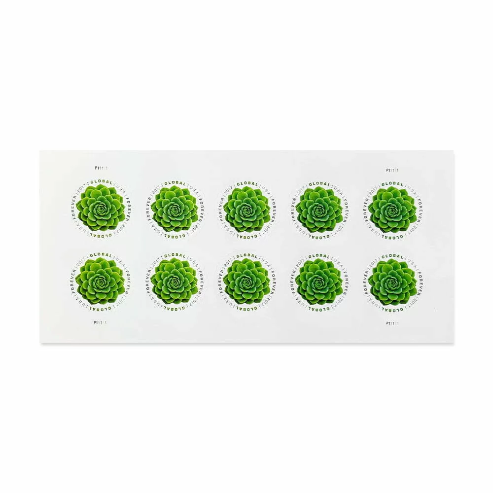 2017 Global Green Succulents